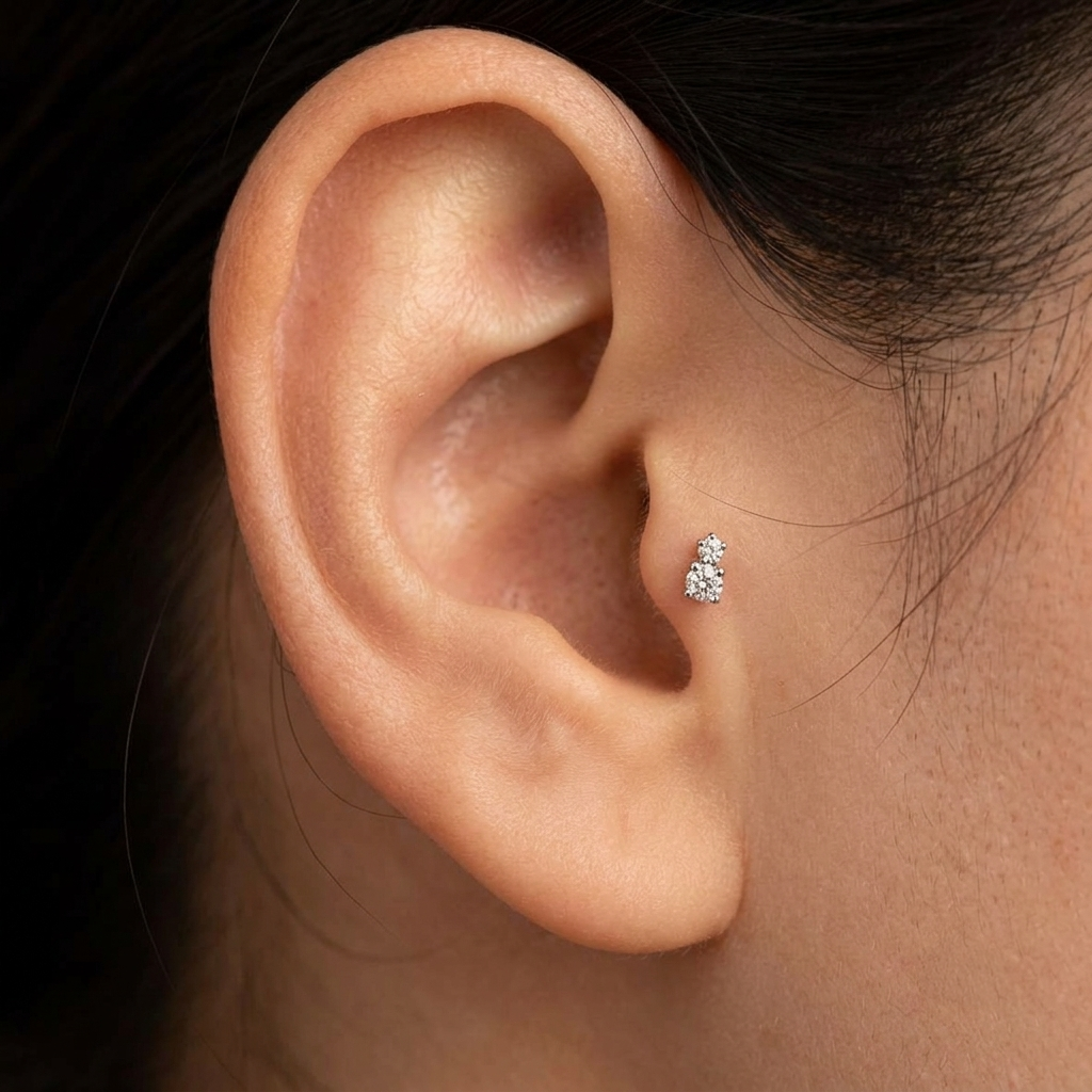 Double Stud Earrings
